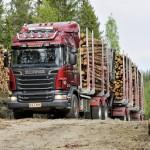 Лесовоз купить в Европе-преимущества в пользу зарубежной техники